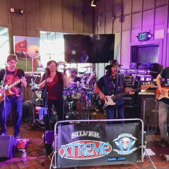 Meet your Posher, Patsy silver - Picture 1 of 4